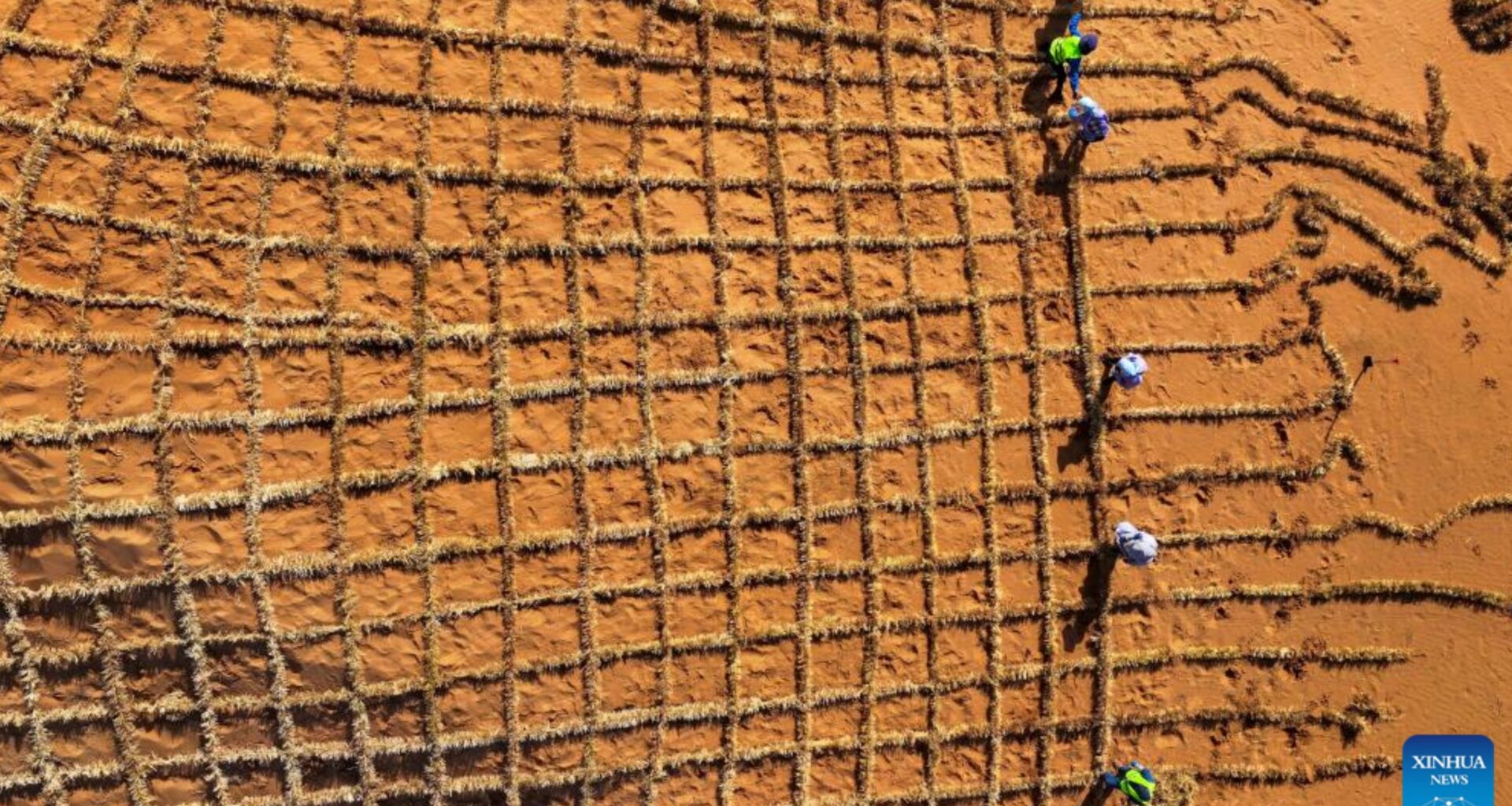 China invention turns desert sand into fertile soil in just 10 months