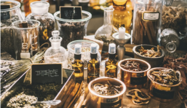 Ancient Chinese medicine might heal spinal cord injuries