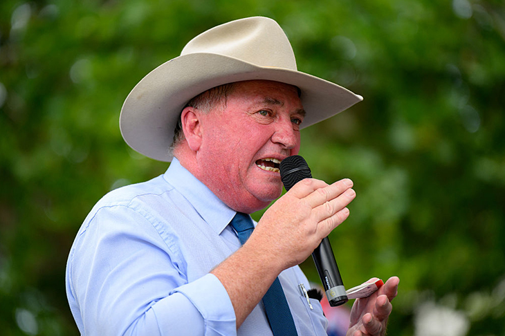 Revenge of the Somewheres | The Spectator Australia