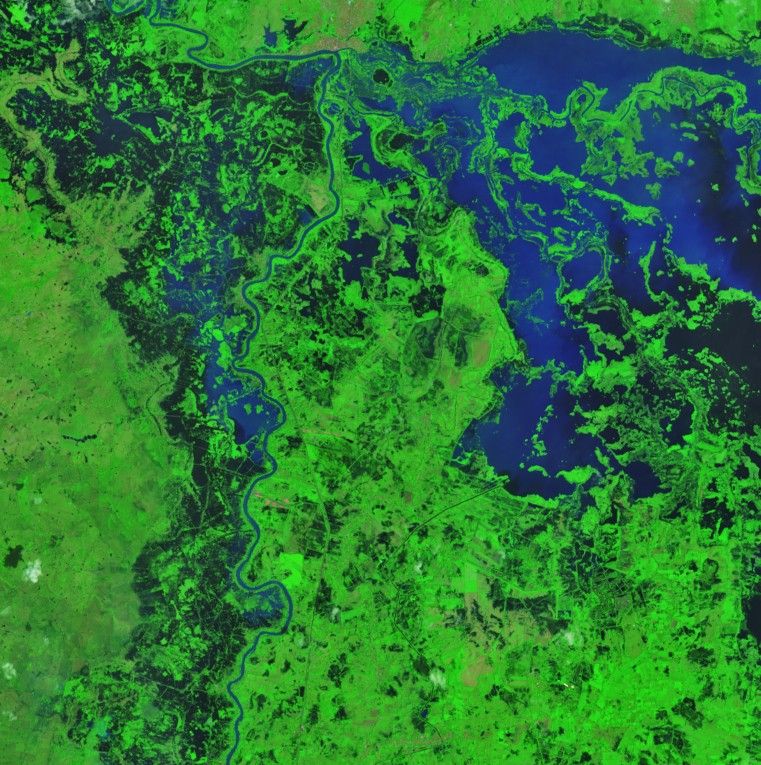 A false-color satellite image captured on February 9, 2026, shows extensive flooding along the Sinu River near Lorica. Dark floodwaters are visible against the green landscape on both sides of the river but especially to its east.