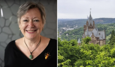 I’m a British expat in Germany. Brexit made my pension more complicated