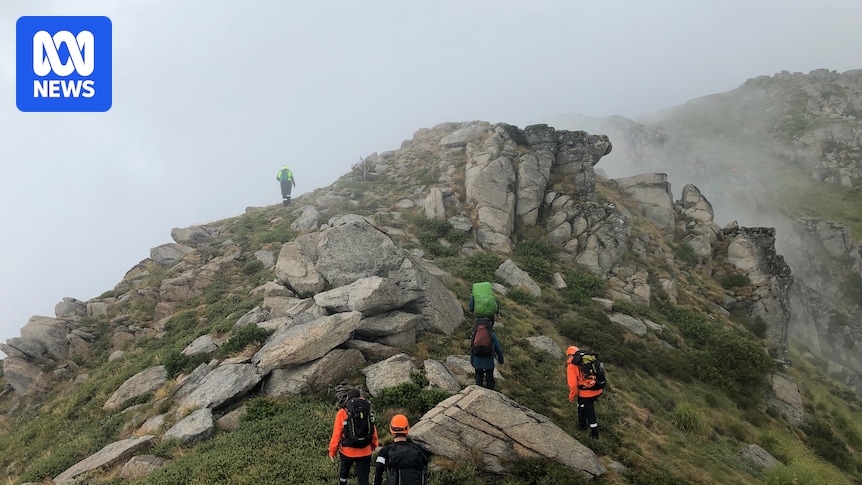 Hikers found after 24-hour rescue mission in Snowy Mountains