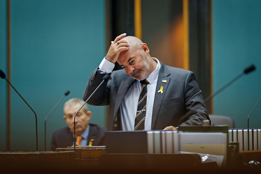 A man in a suit and tie standing up and speaking, inside a parliamentary chamber.