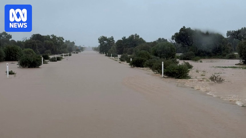 Birdsville nears annual rainfall in two days as south-east Queensland faces wet start to weekend