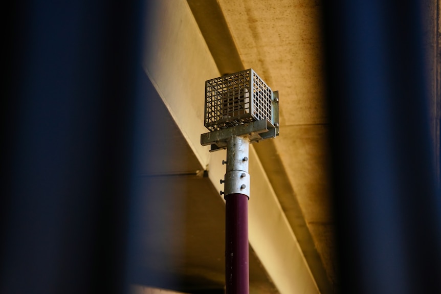 A speaker in a metal cage mounted on top of a pole.