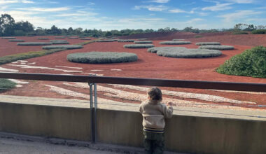 Secret hidden behind fence in Aussie suburban park most visitors never see