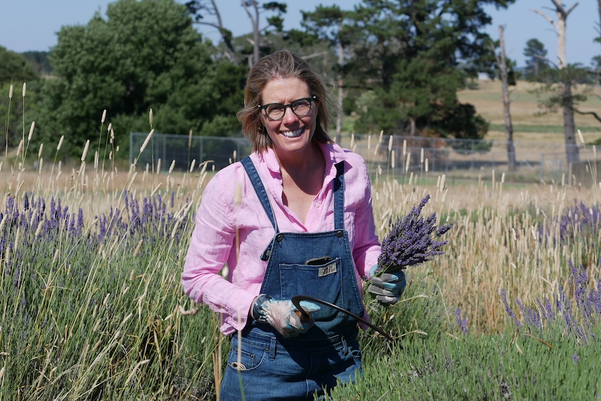 Woman holding a bunch of lavender in the middle of a paddock of lavender, smiling at camera
