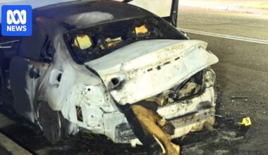 Police searching for kidnapped man Chris Baghsarian investigate suspicious car fires