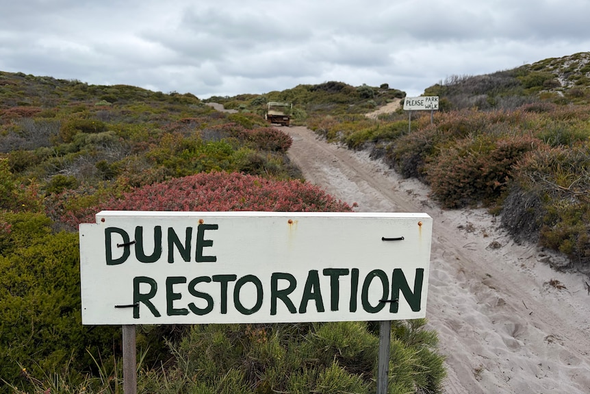 A sign that says dune restoration next to a sandy track and dune scrubland.