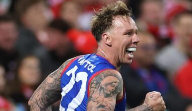 Premiership hero James Harmes to play for Moe Lions after sensationally retiring from AFL football