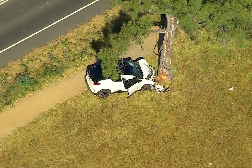 A white car with a black room sits on grass beside a road, with its crumpled front resting against a tree.