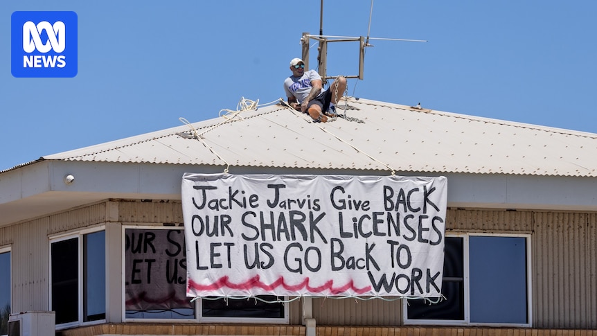 Protester takes to roof of Geraldton fisheries building over WA government's demersal fishing ban