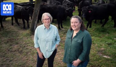 Researchers warn climate-linked disease leptospirosis spreading south