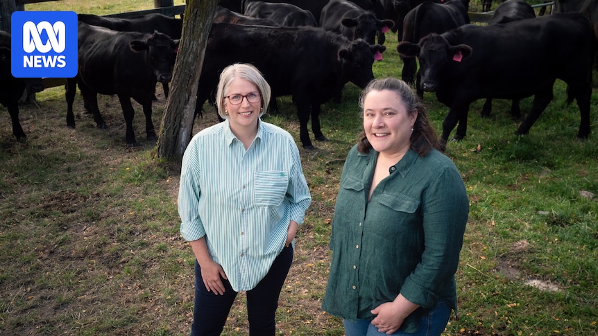 Researchers warn climate-linked disease leptospirosis spreading south