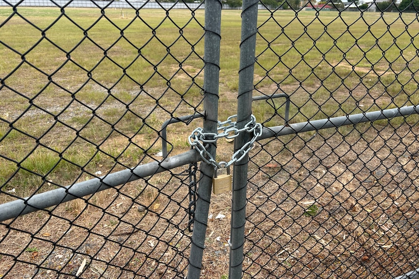 A close up of a chain link fence with grass behind it