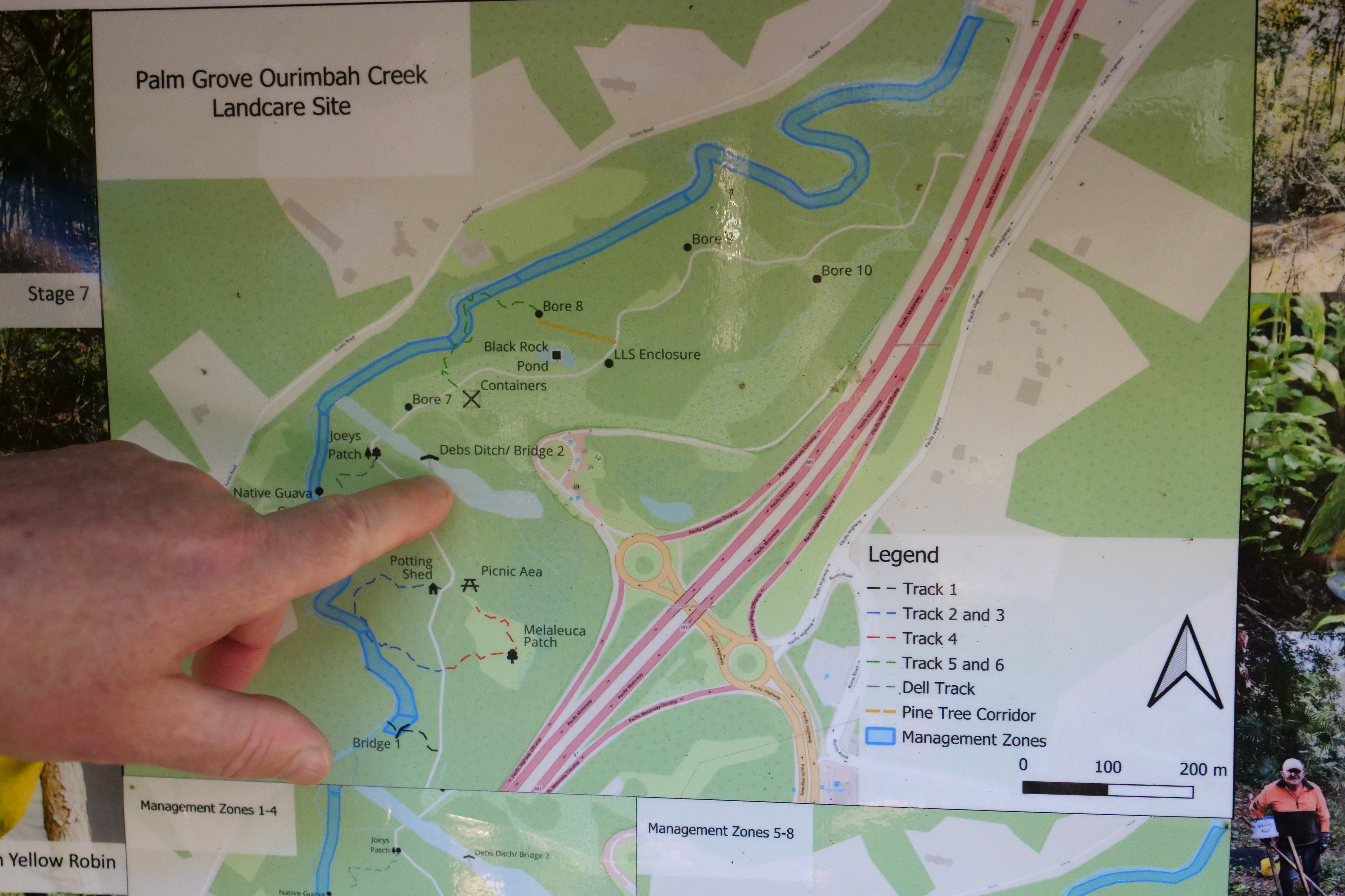 Dr Wright points to the Ourimbah wetland