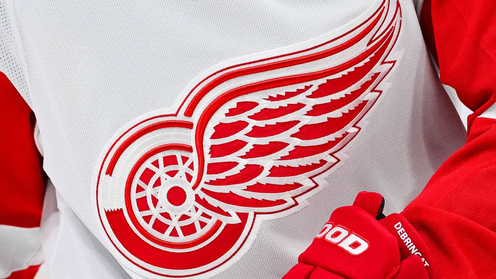 Detroit Red Wings logo