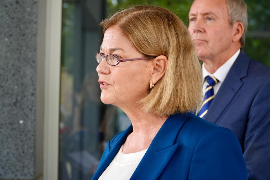 A close-up side-on shot of WA Health Minister Meredith Hammat speaking at a media conference.