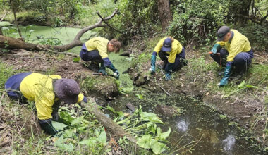 Destructive invasive pest 'in disguise' seized by Aussie crew: 'Real menace'