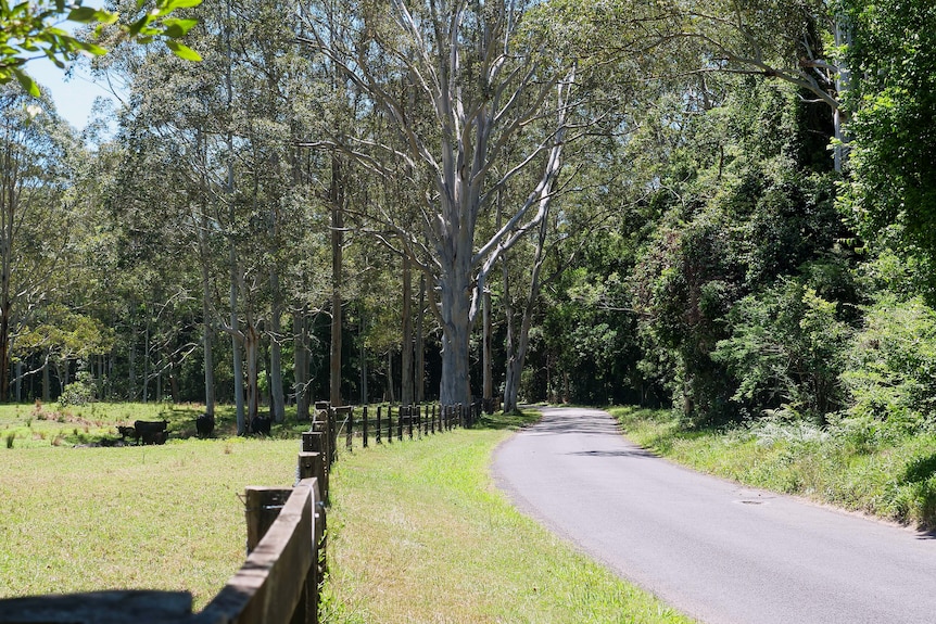 Ourimbah Creek Road winds past cattle grazing, horse studs, fruit trees and orchards.