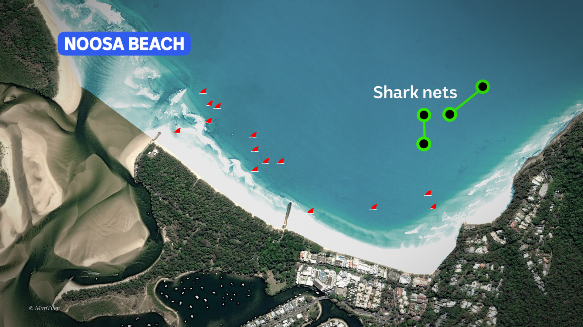 An aerial graphic showing where shark nets are at a beach