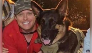 Nathan McKeown: Arnie the German shepherd dies in hot car after Brisbane owner’s drug binge, court hears