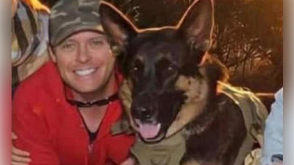Nathan McKeown: Arnie the German shepherd dies in hot car after Brisbane owner’s drug binge, court hears