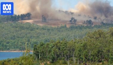 Alcoa's environmental record 'disappointing' says WA premier after $55m payment for unlawful jarrah forest clearing