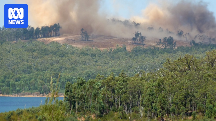 Alcoa's environmental record 'disappointing' says WA premier after $55m payment for unlawful jarrah forest clearing