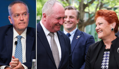 ‘Underestimate Pauline Hanson and Barnaby Joyce at your peril’