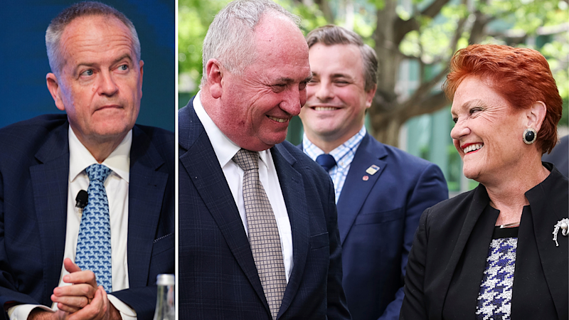 ‘Underestimate Pauline Hanson and Barnaby Joyce at your peril’
