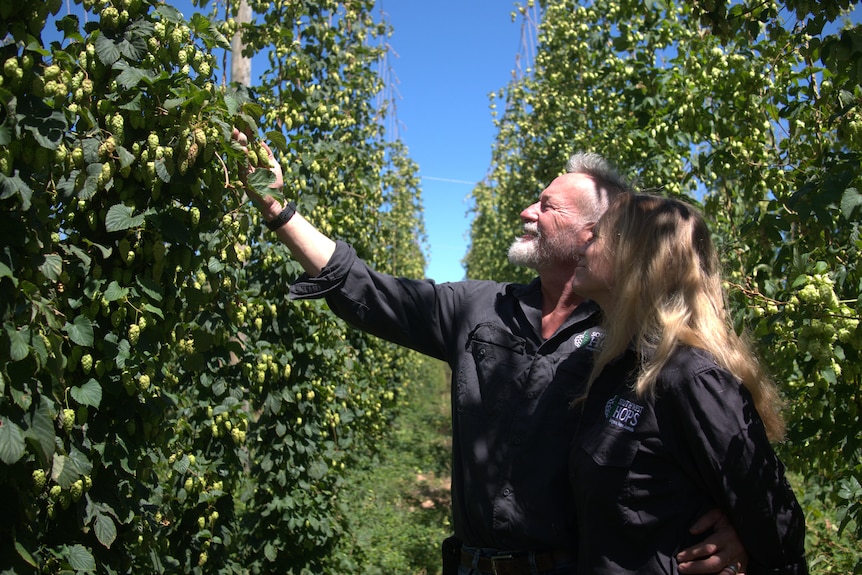 couple looking at green flower on bine