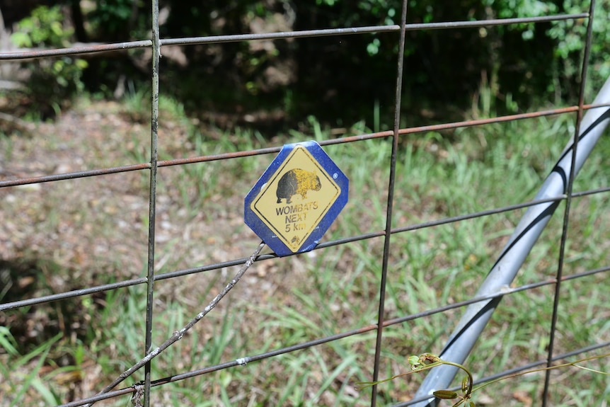 One of the many wildlife signs community members have put up in the Ourimbah Creek area.