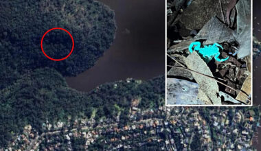 Council worker's incredibly 'exciting' discovery during nighttime bushwalk with son