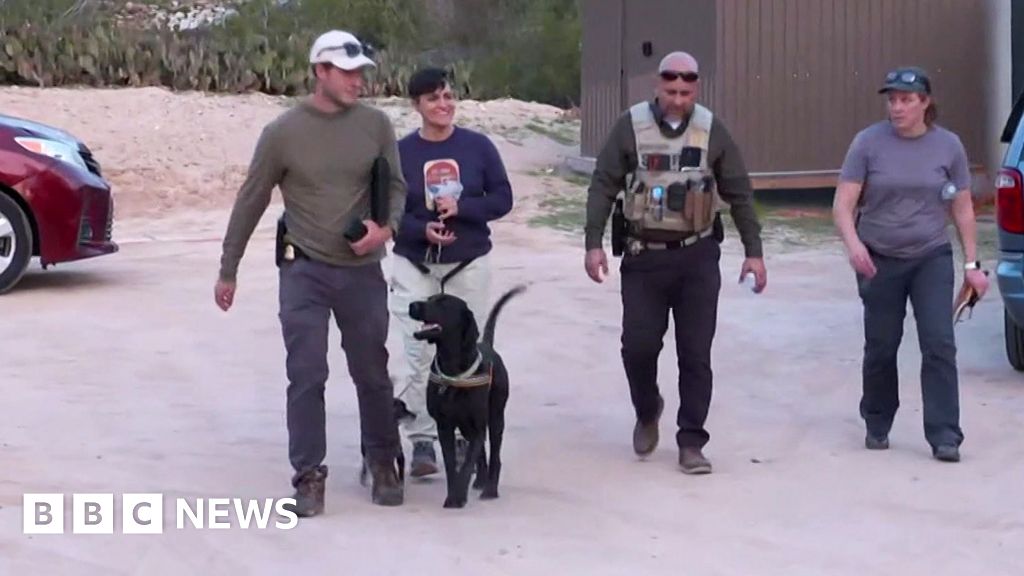 BBC in Nancy Guthrie's home town as sniffer dogs help search for clues