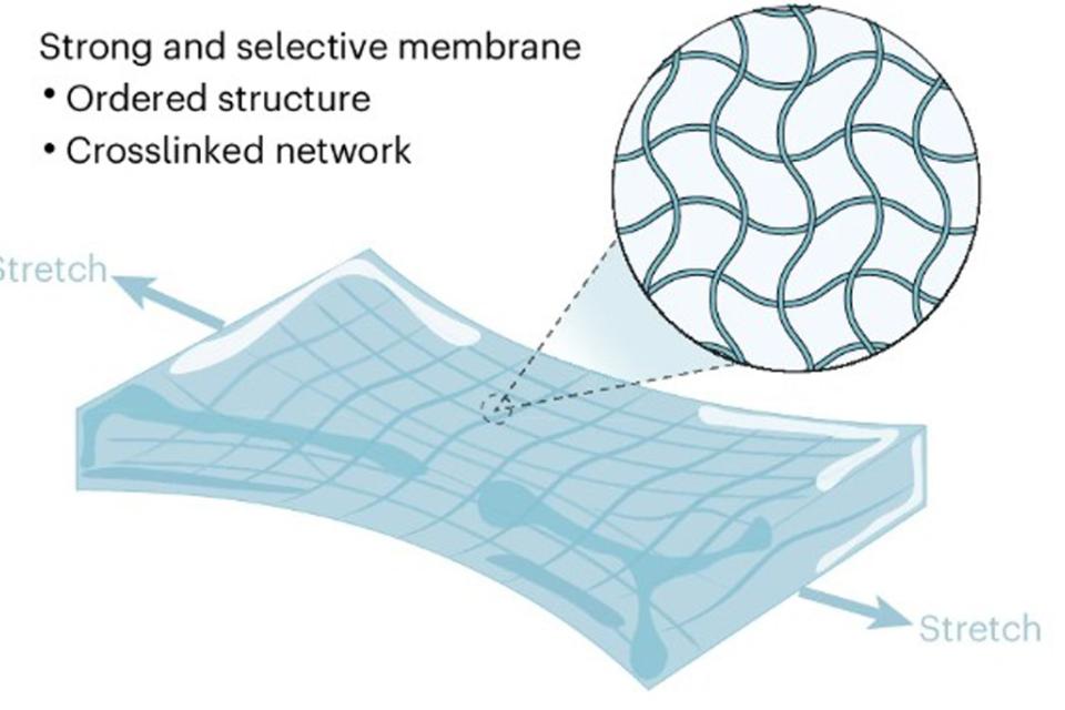 Research showing the benefits of nanochannel polymerisation 