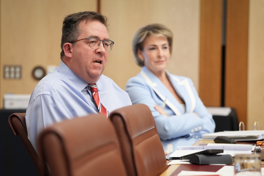 James McGrath in senate estimates