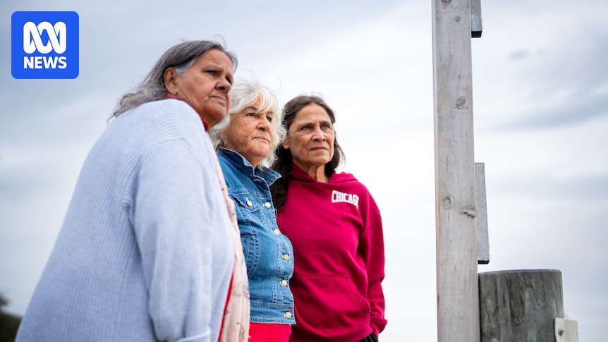 Hindmarsh Island bridge dispute told through Ngarrindjeri women's art