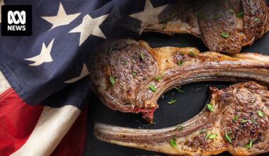 US Republicans call for Australian lamb investigation as new bill proposes 30pc tariff