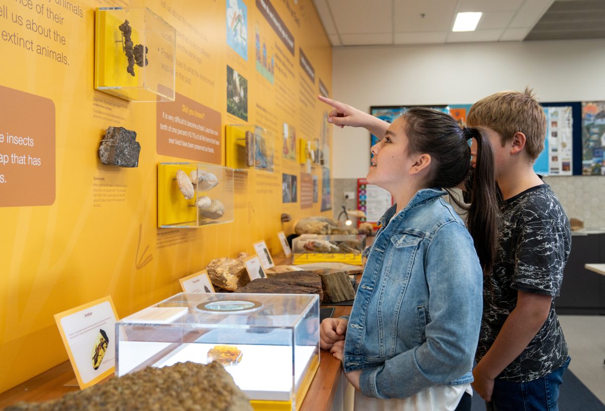 Children look at an exhibition, pointing to geological specimens mounted on a wall. 