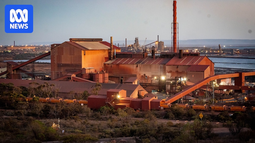 BlueScope remains in race for Whyalla steelworks as analyst warns of market concentration