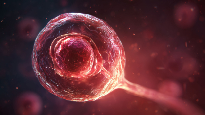 Research Sheds Light On Potential Causes Of Infertility