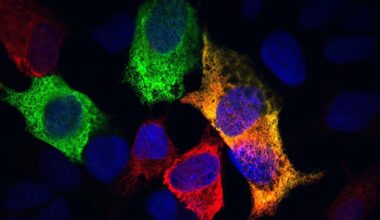 Scientists May Have Found The Key Cellular Process Behind Aging in Animals : ScienceAlert