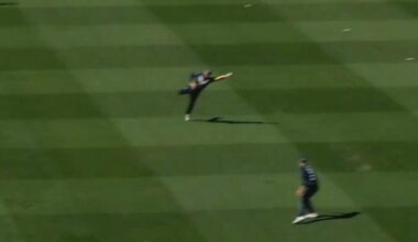 Victoria vs Queensland One Day Cup match, live score, Tom Rogers catch video, Marnus Labuschagne wicket, highlights