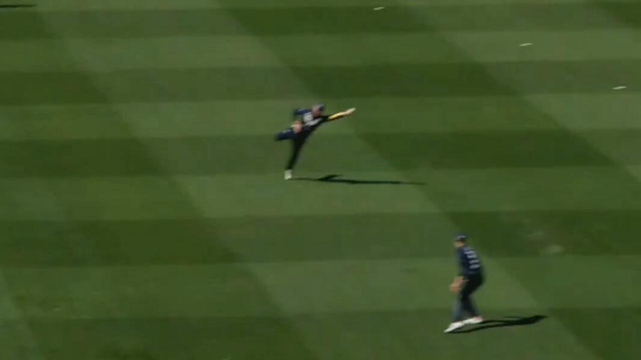 Victoria vs Queensland One Day Cup match, live score, Tom Rogers catch video, Marnus Labuschagne wicket, highlights