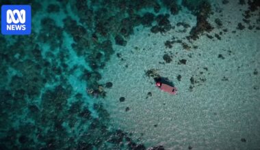 Workers allege underpayment on Ningaloo Reef tour boats