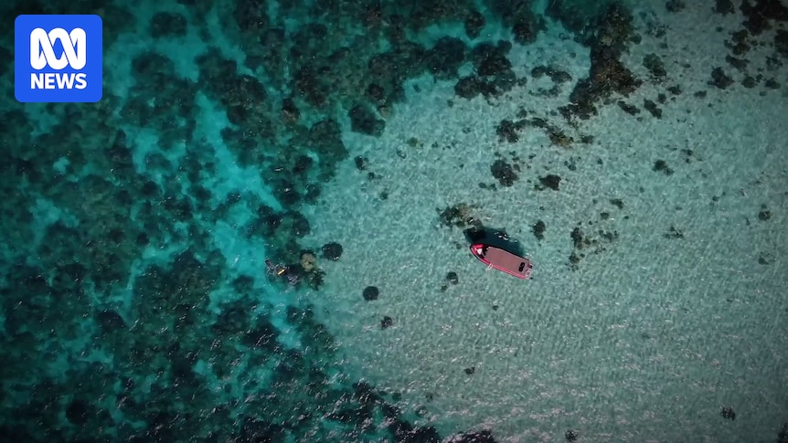 Workers allege underpayment on Ningaloo Reef tour boats