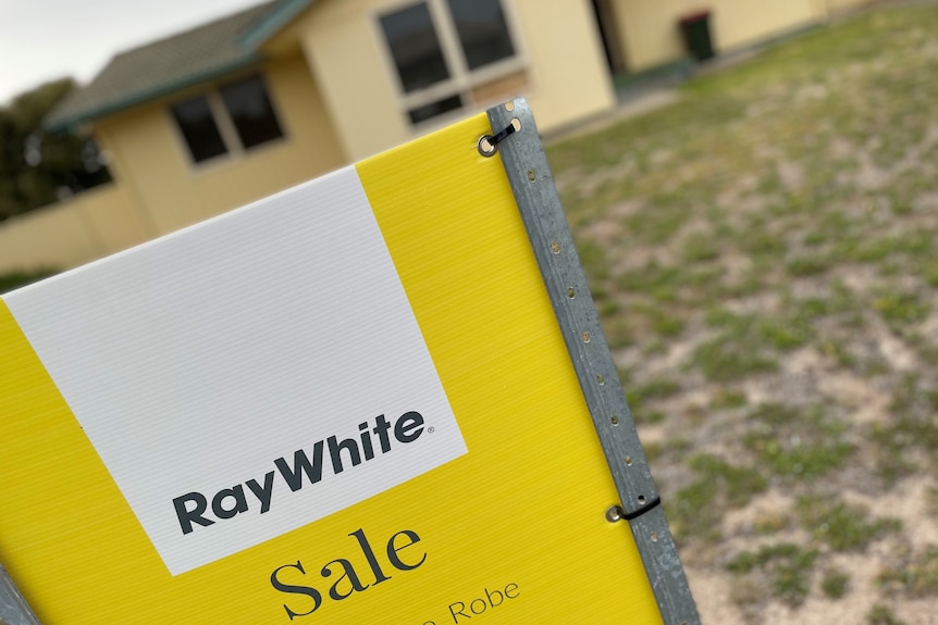 A yellow 'Ray White' 'For Sale' sign outside an average-looking cream rendered house.