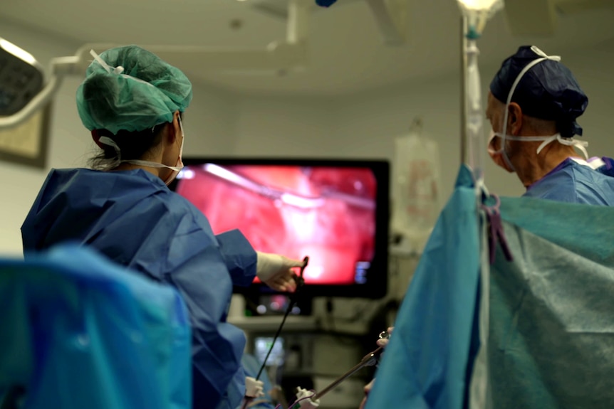 Two surgeons in an operating theatre wearing scrubs look at a screen showing inside an unidentified area of a patient's body.