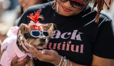 Your dog’s gut health could determine how long they survive after cancer treatment